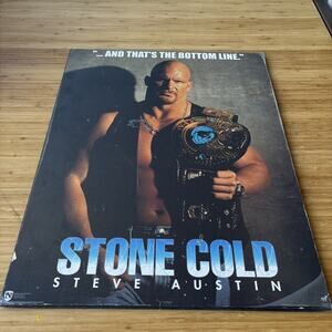1998 WWF Titan Sports Inc, Stone Cold Steve Austin Wall Plaque 20x16